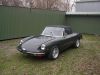Alfa Cabrio